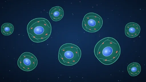 Cytokines and Inflammatory Mediators